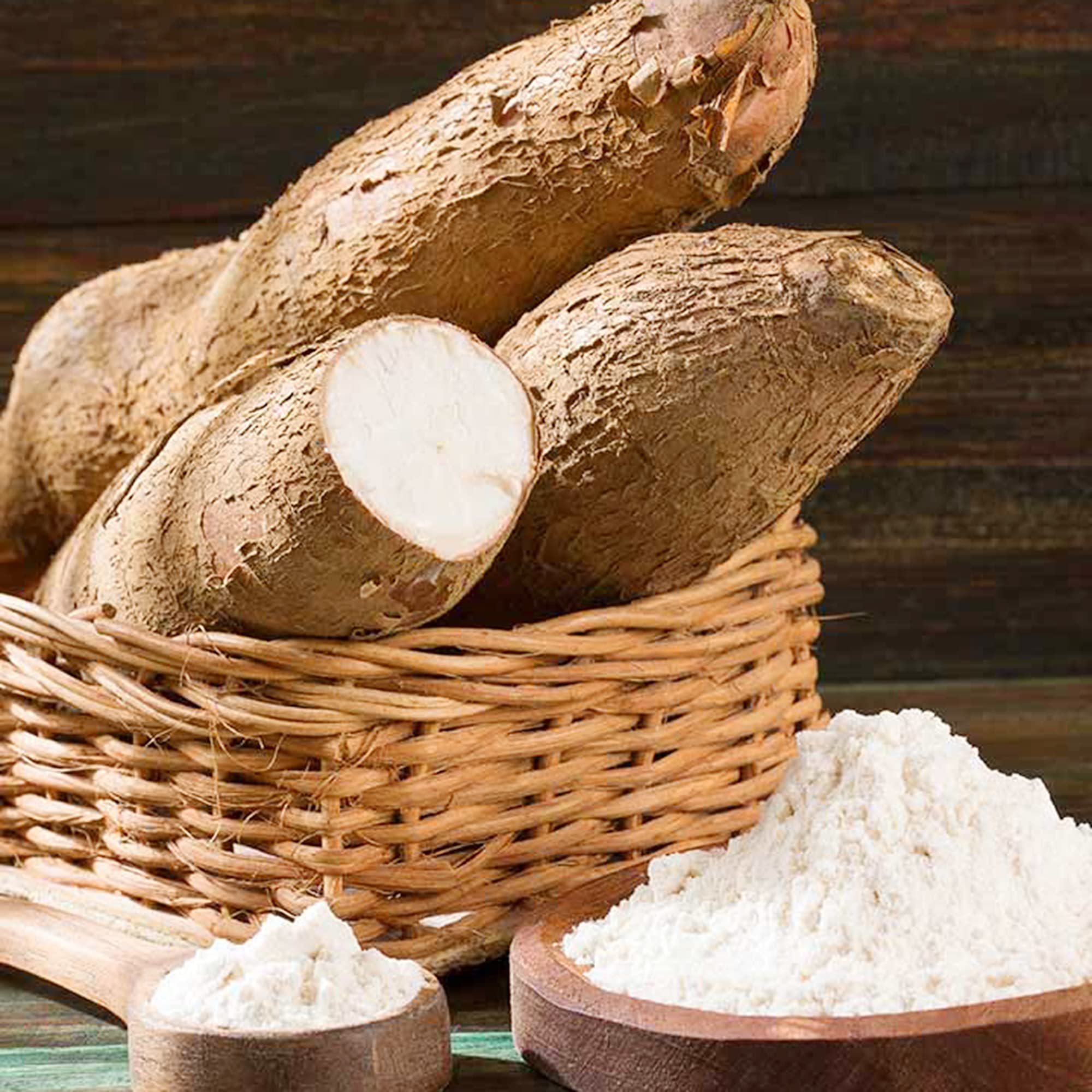 Amazon.com: QAUZUY GARDEN Manihot Esculenta種子- 5 種優質木薯籽